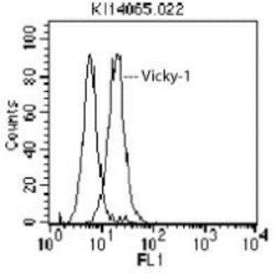 Flow Cytometry: BCMA/TNFRSF17 Antibody (Vicky-1) - BSA Free [NBP1-97637]