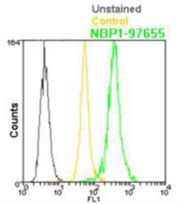 Flow Cytometry: BCMA/TNFRSF17 Antibody (Vicky-1) - BSA Free [NBP1-97637]