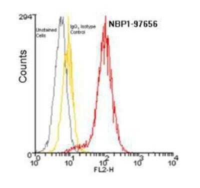 Flow Cytometry: BCMA/TNFRSF17 Antibody (Vicky-1) - BSA Free [NBP1-97637]