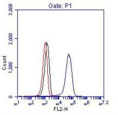Flow Cytometry: BCR Antibody [NBP1-19097]