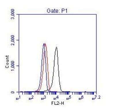 Flow Cytometry: BCR Antibody [NBP1-19098]