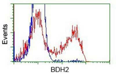 Flow Cytometry: BDH2 Antibody (OTI2G1) - Azide and BSA Free [NBP2-72067]