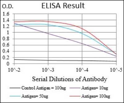 ELISA: BDNF Antibody (3D9C5) - BSA Free [NBP2-37276]
