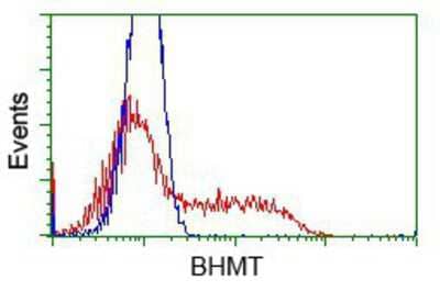 Flow Cytometry: BHMT Antibody (OTI3E11) [NBP2-02349]