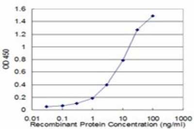 ELISA: BIN1 Antibody (2C7) [H00000274-M03]