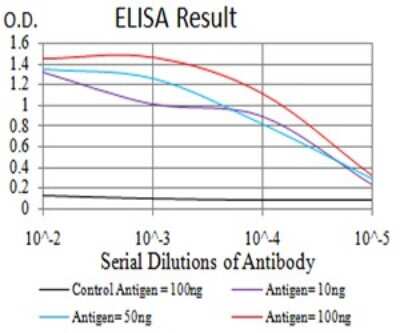 ELISA: BIN1 Antibody (3B6F10) - BSA Free [NBP2-61714]