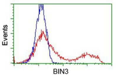 Flow Cytometry: BIN3 Antibody (OTI8E9) [NBP2-03389]