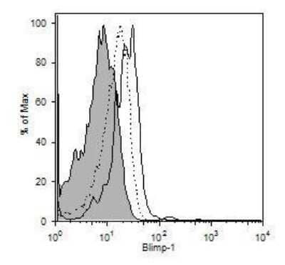 Flow Cytometry: BLIMP1/PRDM1 Antibody (3H2-E8) - BSA Free [NB600-235]