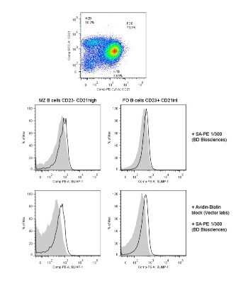 Flow Cytometry: BLIMP1/PRDM1 Antibody (3H2-E8) - BSA Free [NB600-235]