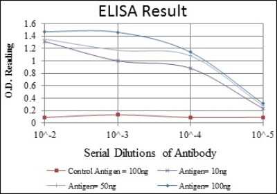 ELISA: BLNK Antibody (5G9) - BSA Free [NBP2-37585]
