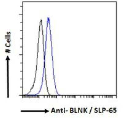 Flow Cytometry: BLNK Antibody [NB100-804]