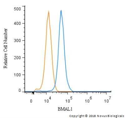 Flow Cytometry: BMAL1 Antibody [NB100-2288]