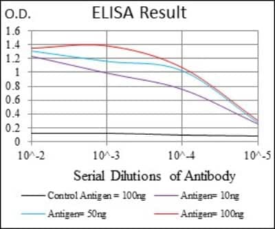 ELISA: BMI-1 Antibody (3E3) - BSA Free [NBP2-22204]