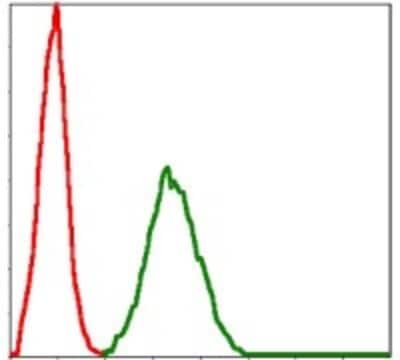 Flow Cytometry: BMI-1 Antibody (3E3) - BSA Free [NBP2-22204]