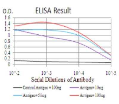 ELISA: BMP-2 Antibody (9E10G12) - BSA Free [NBP2-52422]