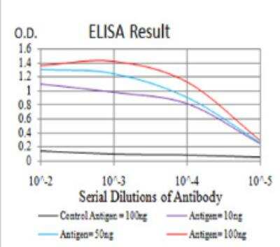 ELISA: BMP-4 Antibody (3C11C7) - BSA Free [NBP2-52424]
