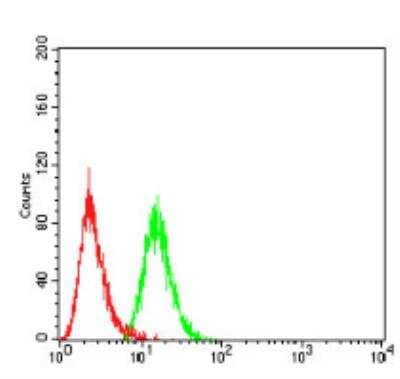 Flow Cytometry: BMP-4 Antibody (3C11C7) - BSA Free [NBP2-52424]