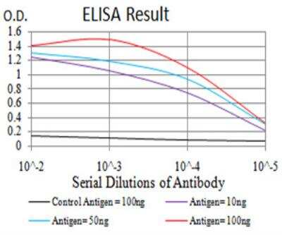 ELISA: BMP-4 Antibody (3C11H8) - BSA Free [NBP2-52423]