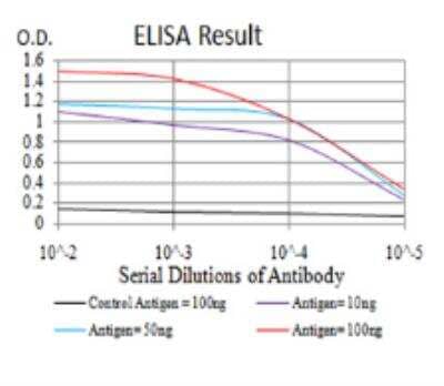 ELISA: BMP-7 Antibody (6E5D12) - BSA Free [NBP2-52425]
