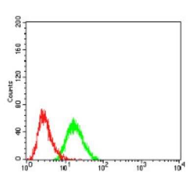 Flow Cytometry: BMP-7 Antibody (6E5D12) - BSA Free [NBP2-52425]