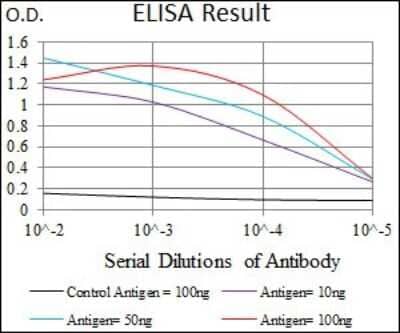 ELISA: BMPR-IA/ALK-3 Antibody (4B7B2) - BSA Free [NBP2-37421]