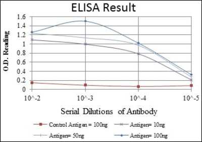 ELISA: BMPR-II Antibody (1F12) - BSA Free [NBP2-37625]