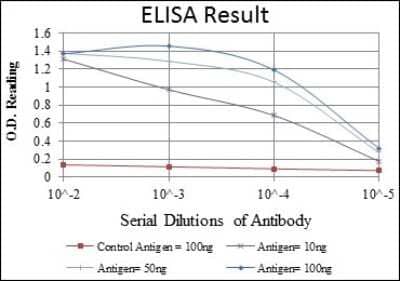 ELISA: BMPR-II Antibody (3F6) - BSA Free [NBP2-37624]