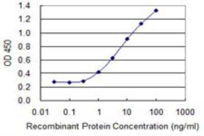 ELISA: BNC1 Antibody (1F4) [H00000646-M03]