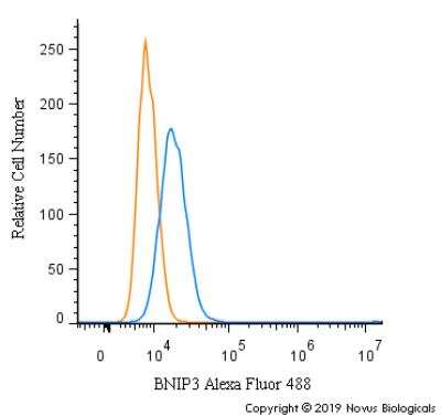 Flow Cytometry: BNIP3 Antibody - BSA Free [NBP1-77683]