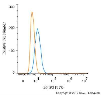 Flow Cytometry: BNIP3 Antibody - BSA Free [NBP1-77683]