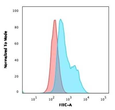 Flow Cytometry: BOB1 Antibody (BOB1/2424) [NBP2-75752]