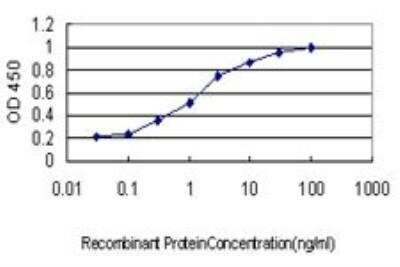 ELISA: BP1 Antibody (1F11) [H00001748-M01]
