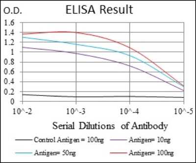 ELISA: BPIFB1 Antibody (2A5) - BSA Free [NBP2-37534]