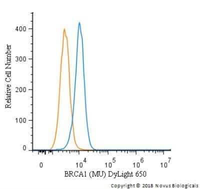 Flow Cytometry: BRCA1 Antibody (MU)Azide and BSA Free [NBP2-80602]