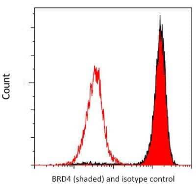 Flow Cytometry: BRD4 Antibody (BL-149-2H5) [NBP2-76393]