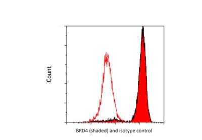 Flow Cytometry: BRD4 Antibody (BL-151-6F11) [NBP2-76394]