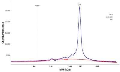 Simple Western: BRD4 Antibody [NBP1-86640]