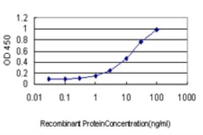 ELISA: BRMS1 Antibody (M1) [H00025855-M03]