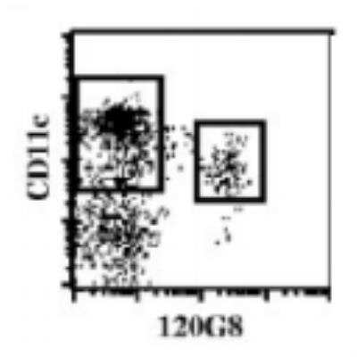 Flow Cytometry: BST2 Antibody (120G8.04) [DDX0390P-100]