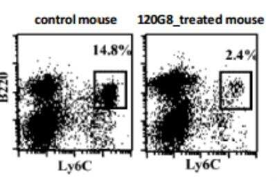 Flow Cytometry: BST2 Antibody (120G8.04) [DDX0390P-100]