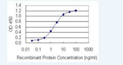 ELISA: BTF3L4 Antibody (2G10) [H00091408-M05-100ug]