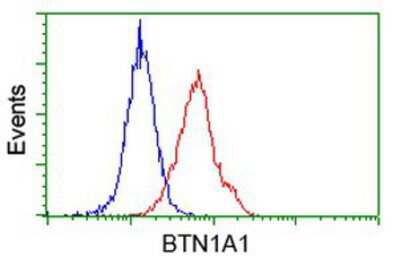 Flow Cytometry: BTN1A1/Butyrophilin Antibody (OTI7B5) [NBP2-02864]