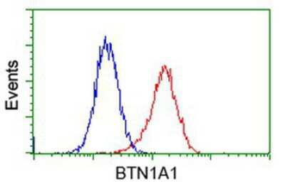 Flow Cytometry: BTN1A1/Butyrophilin Antibody (OTI7B5) [NBP2-02864]