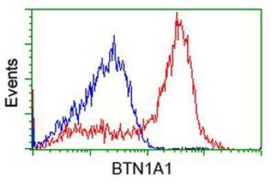 Flow Cytometry: BTN1A1/Butyrophilin Antibody (OTI7B5) [NBP2-02864]