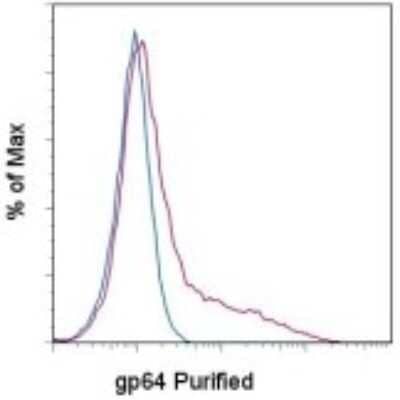 Flow Cytometry: Baculovirus Envelope gp64 protein Antibody (AcV1) - BSA Free [NBP2-00208]