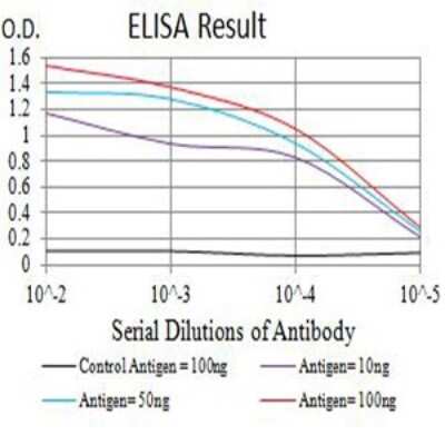 ELISA: Bag-1 Antibody (1E4B5) - BSA Free [NBP2-61698]