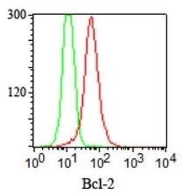 Flow Cytometry: Bcl-2 Antibody (100/D5+124) [NBP2-34444]