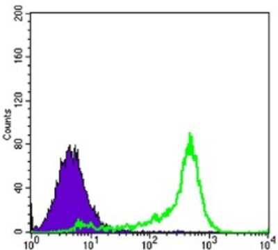 Flow Cytometry: Bcl-2 Antibody (8E12) - BSA Free [NBP2-22170]