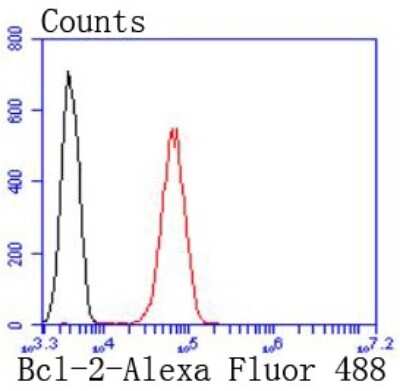 Flow Cytometry: Bcl-2 Antibody (JF104-8) [NBP2-67182]