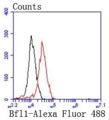 Flow Cytometry: Bcl-2 related protein A1 Antibody (SC05-42) [NBP2-67563]